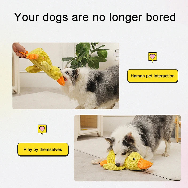 Duck Shape Dog Toy