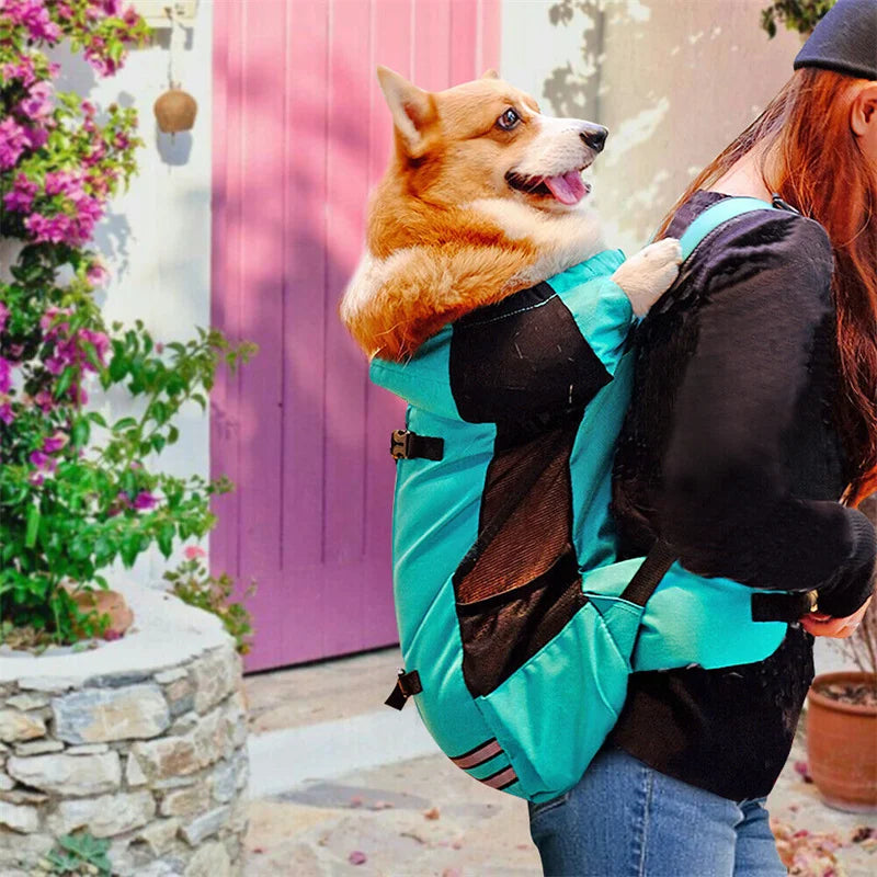 Outdoor Hiking Dog Travel Bag