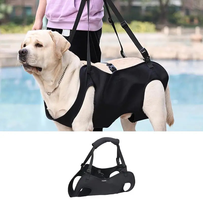 Dog Lift Harness
