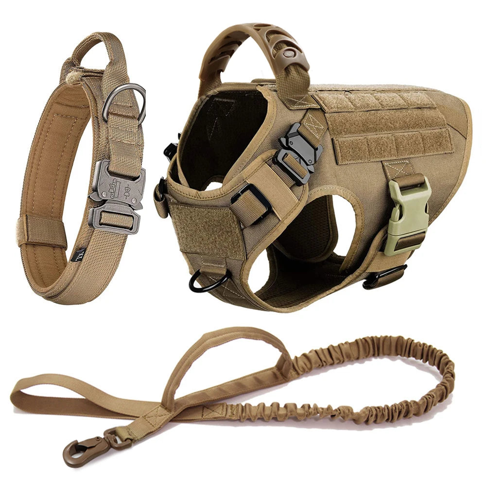 Dog Harness and Leash Set