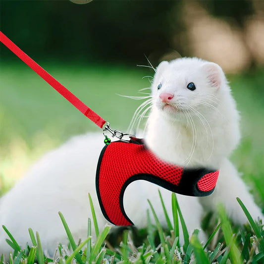 Mesh Breathable Pet leash