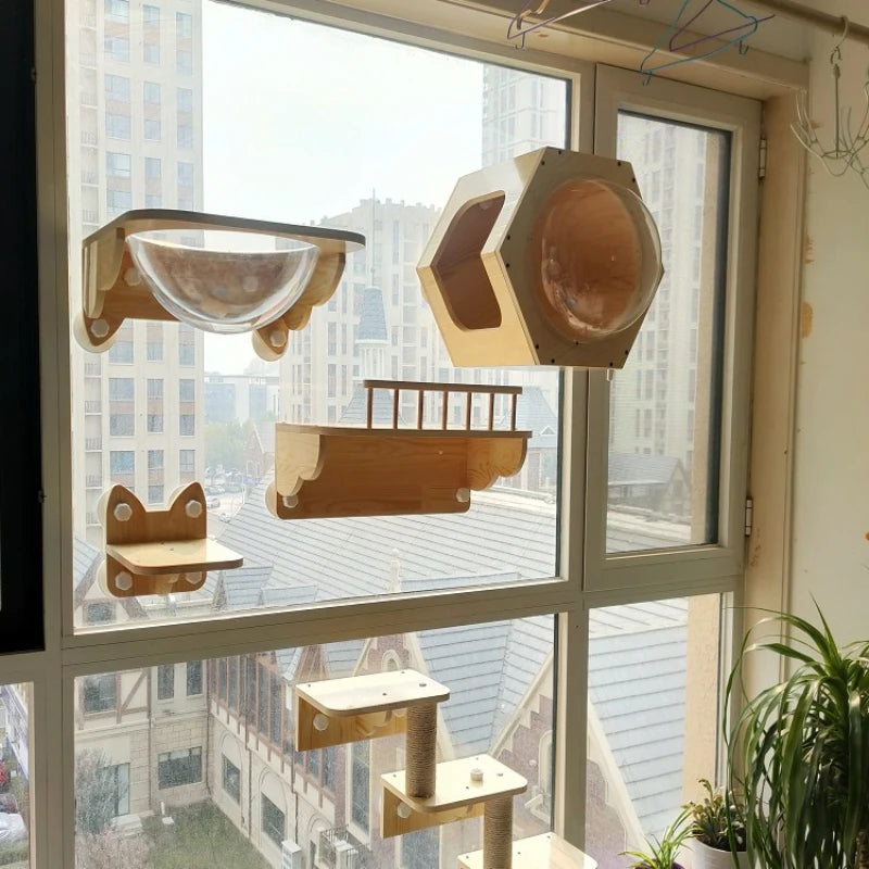 Glass Wall Cat Climbing Frames